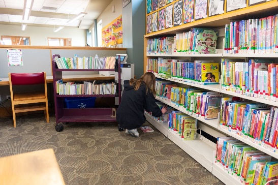 A person looking at books on a shelfDescription automatically generated